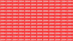 Optical Illusion Challenge: Can You Separate 2394 From a Crowd of Look-Alike 2894s